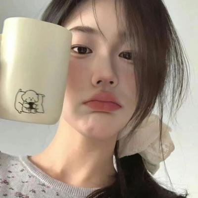 捍卫领航员